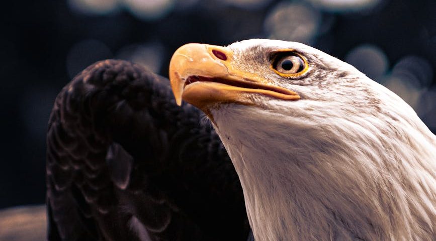 La décompression neurovertébrale pour soulager les douleurs dorsales sportives