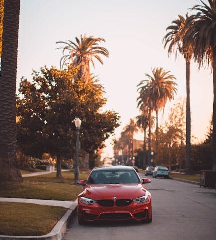 La shockwave et la réduction du stress oxydatif en rééducation sportive